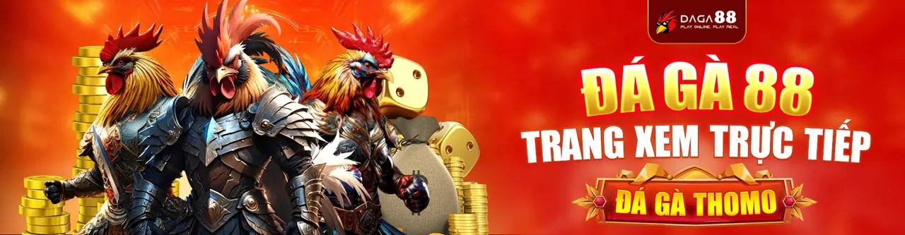 Hình ảnh minh họa các điều khoản và điều kiện pháp lý của 9win bet