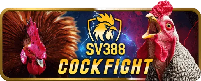 Phân tích bảo mật 9win bet